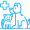 Icon 5